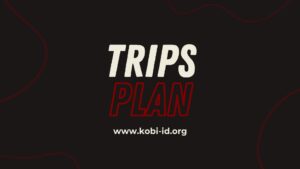 Cover Trips Plan